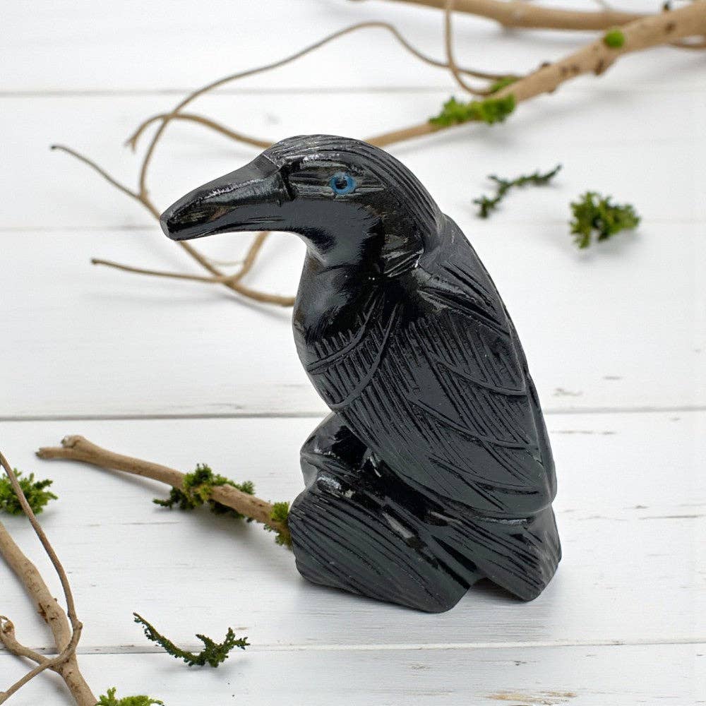 Onyx Raven