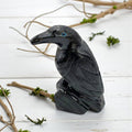Onyx Raven