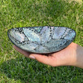 Abalone Bowl